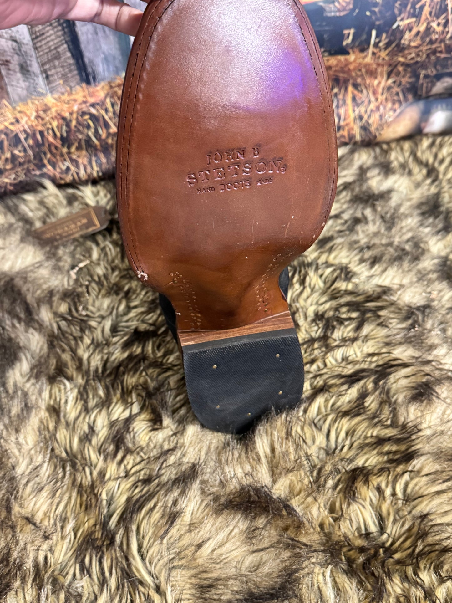 Exotic Stetson Hippopotamus Cowboy Boots