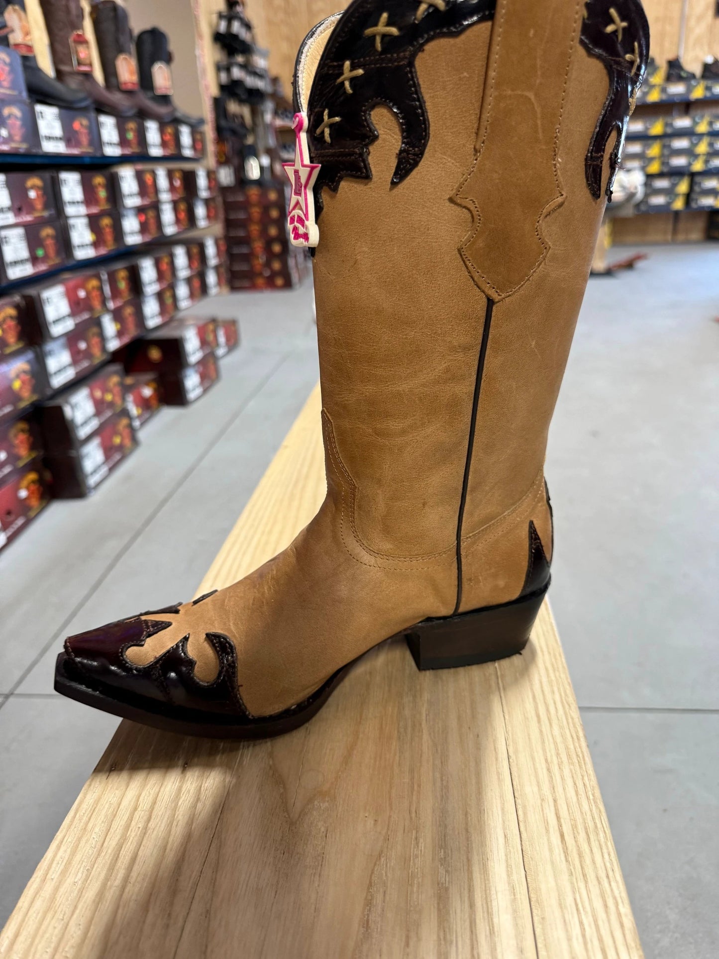 Los Altos Exotic Eel Skin Cowgirl Boots for Women Handcrafted Western Leather High Quality Boots by Los Altos