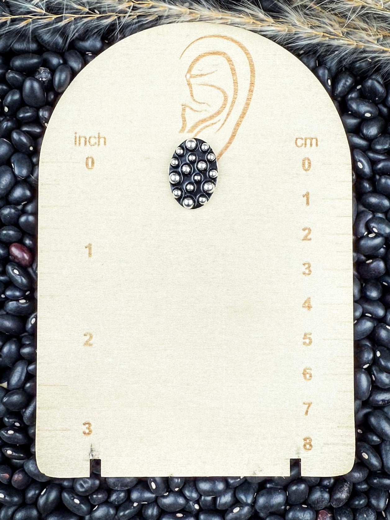 Sagebrush Silver 6-Pack Fashion Earring Set