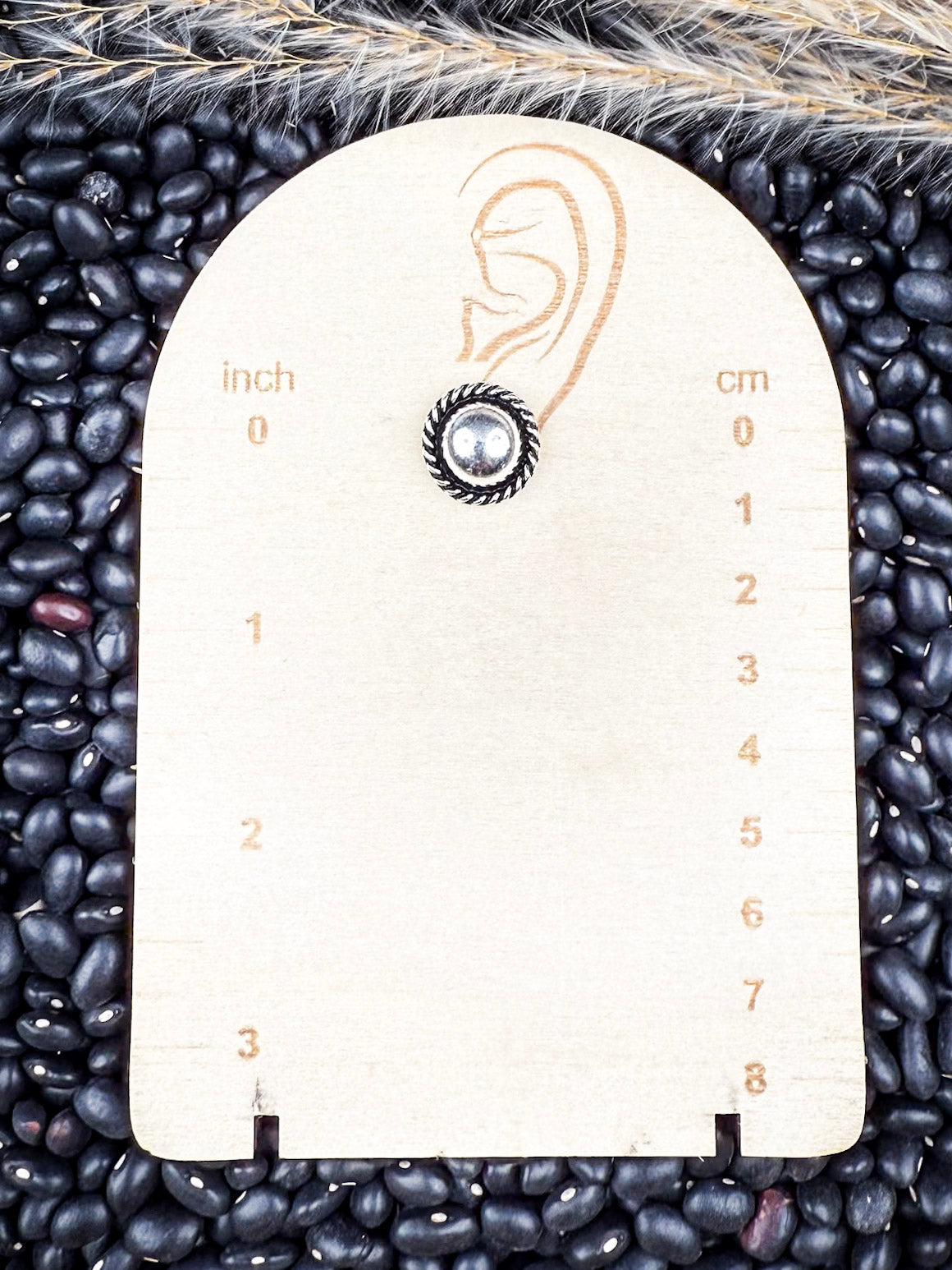 Sagebrush Silver 6-Pack Fashion Earring Set
