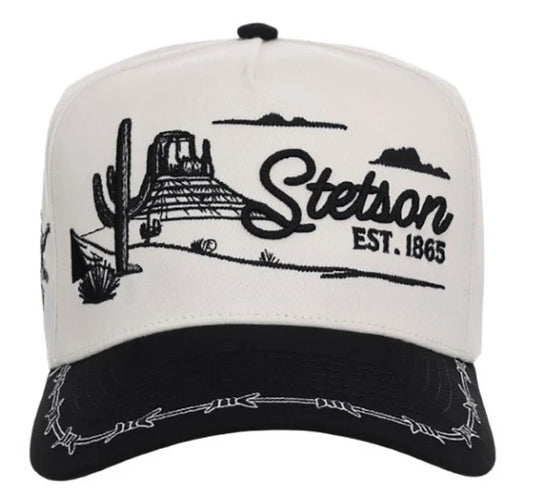 Stetson Desert Scene (Black) - Trucker Cap