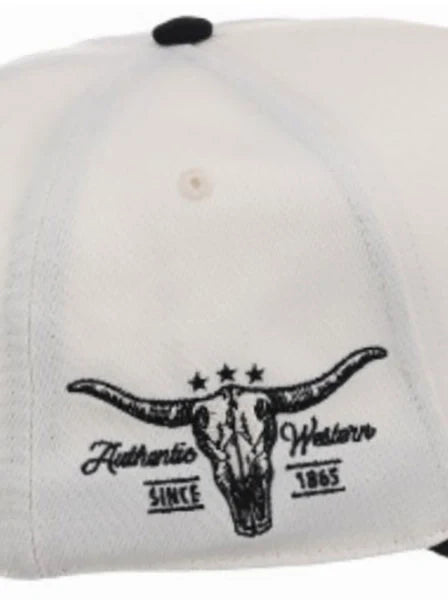 Stetson Desert Scene (Black) - Trucker Cap