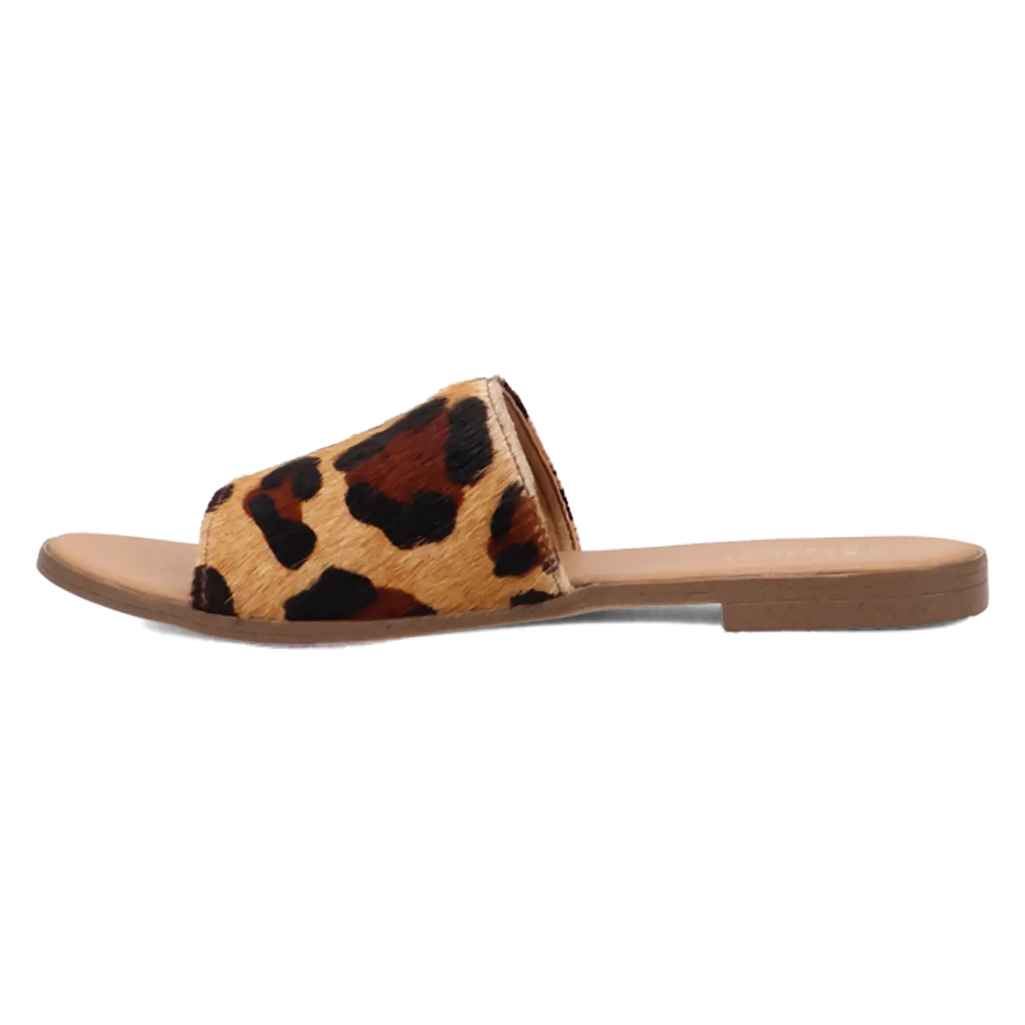 Dingo Tabby - Women's Sandals