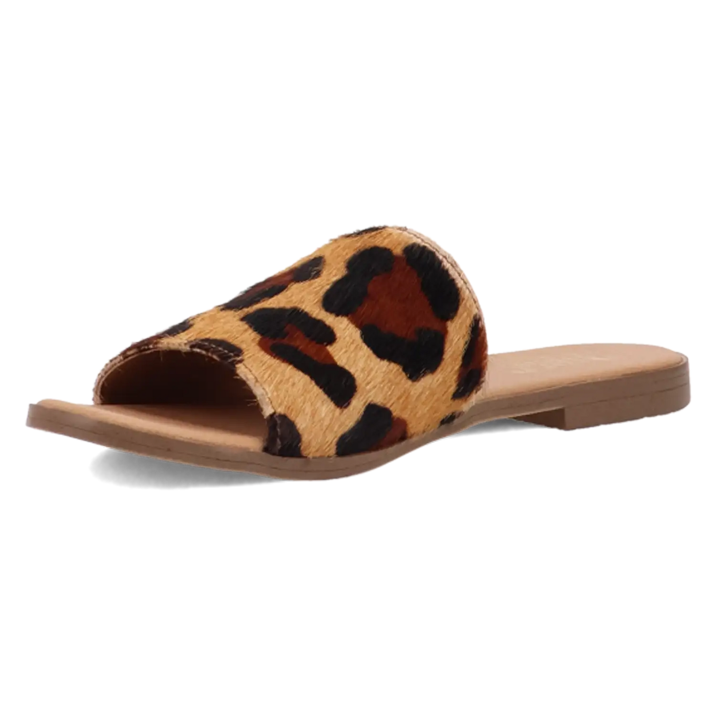 Dingo Tabby - Women's Sandals