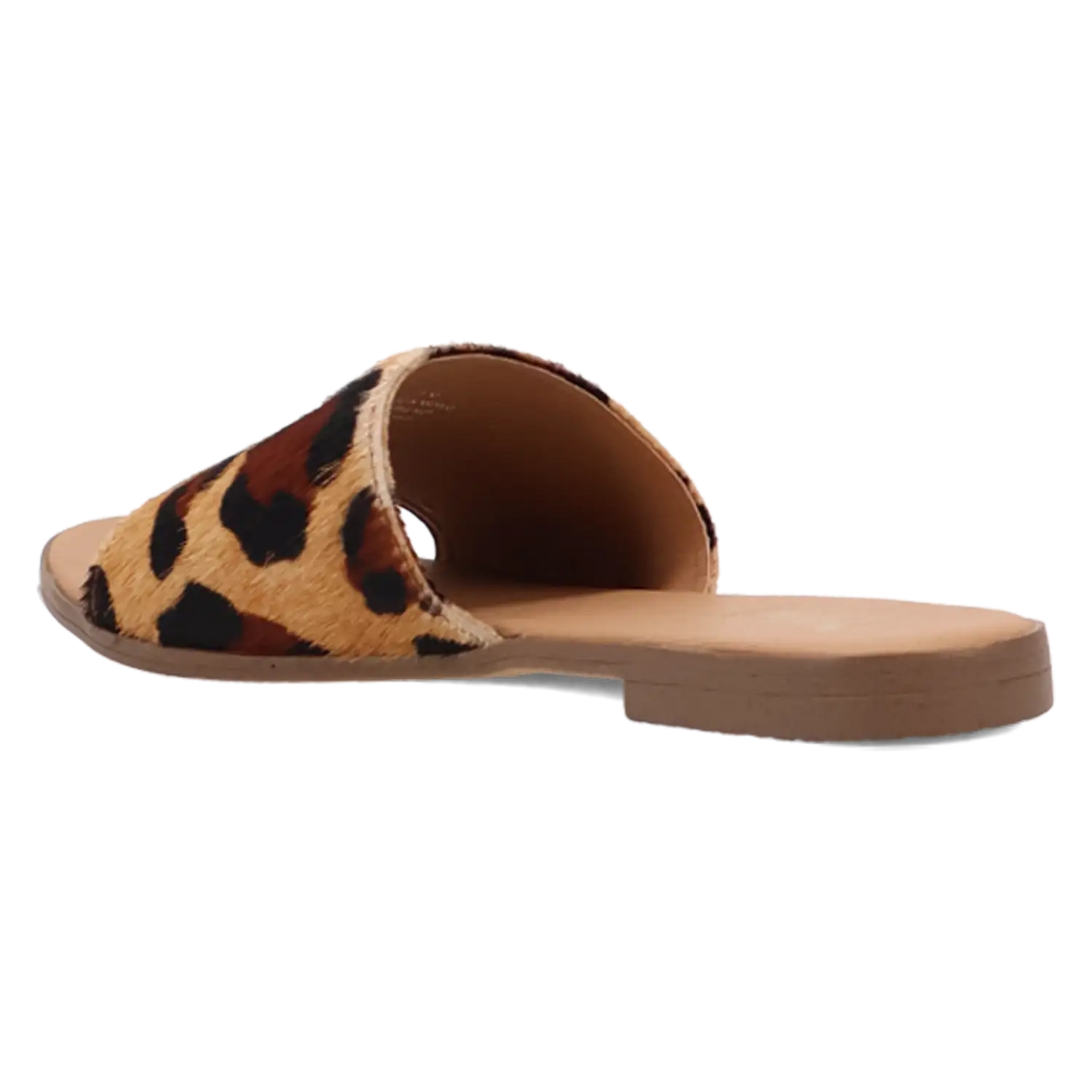 Dingo Tabby - Women's Sandals
