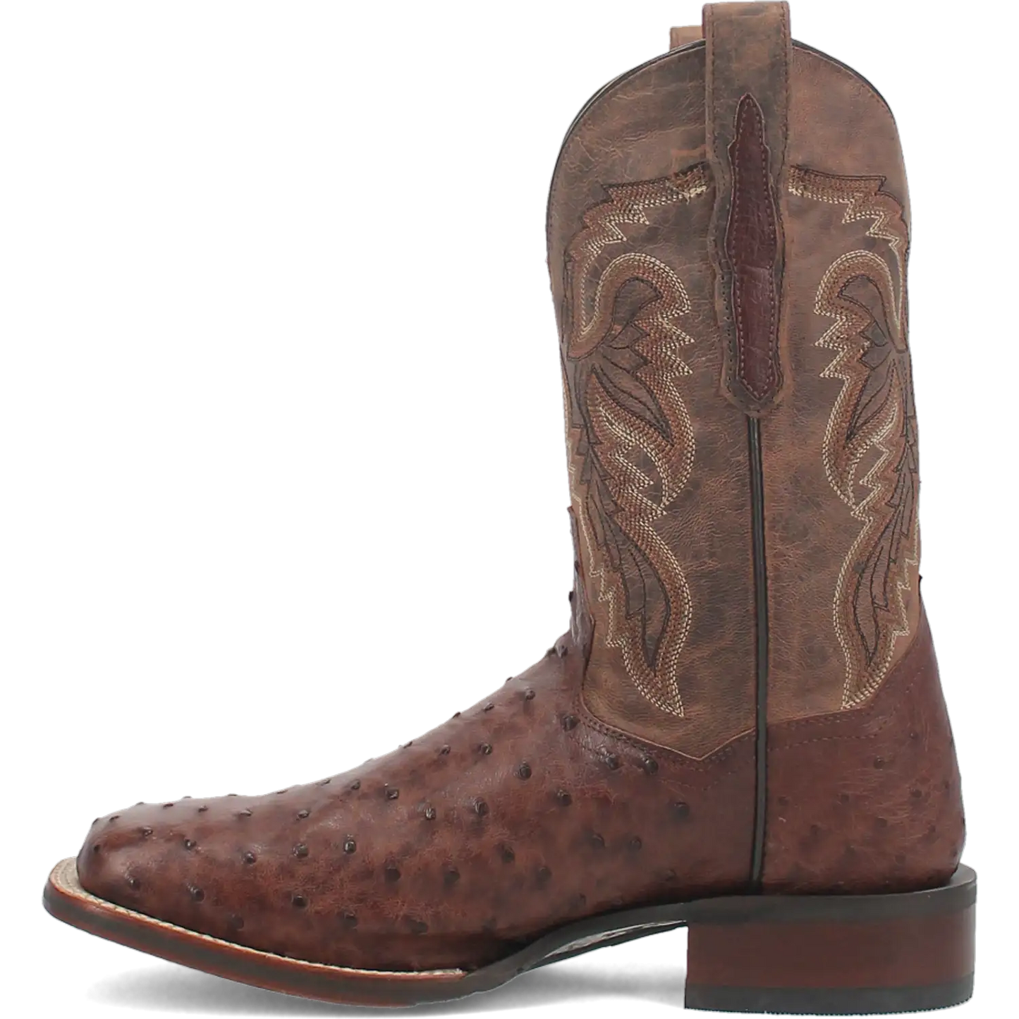 Dan Post Alamosa (Chocolate/Brown) - Men's Ostrich Skin Leather Cowboy Boots