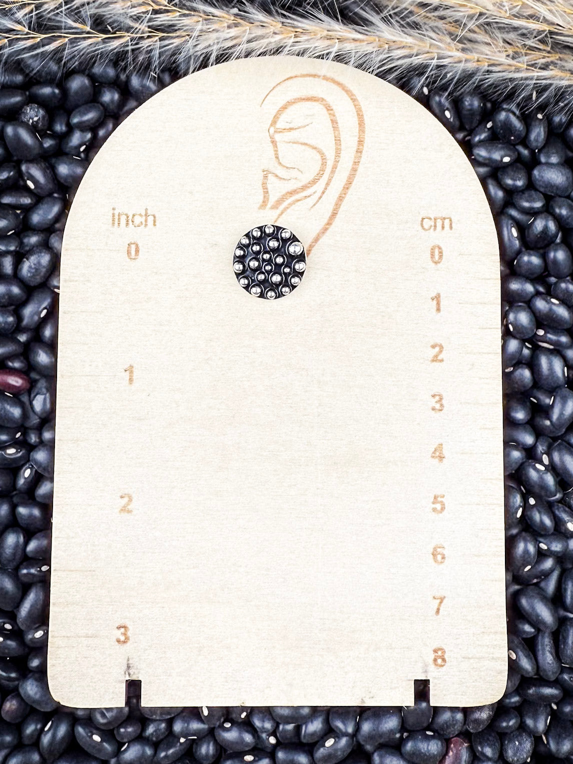 Sagebrush Silver 6-Pack Fashion Earring Set