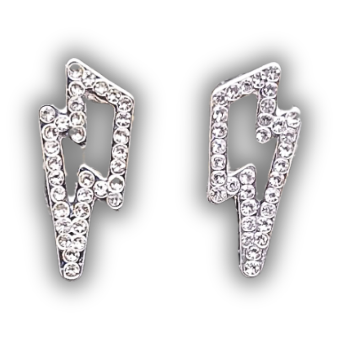 Jewel Stud Fashion Earrings - Silver
