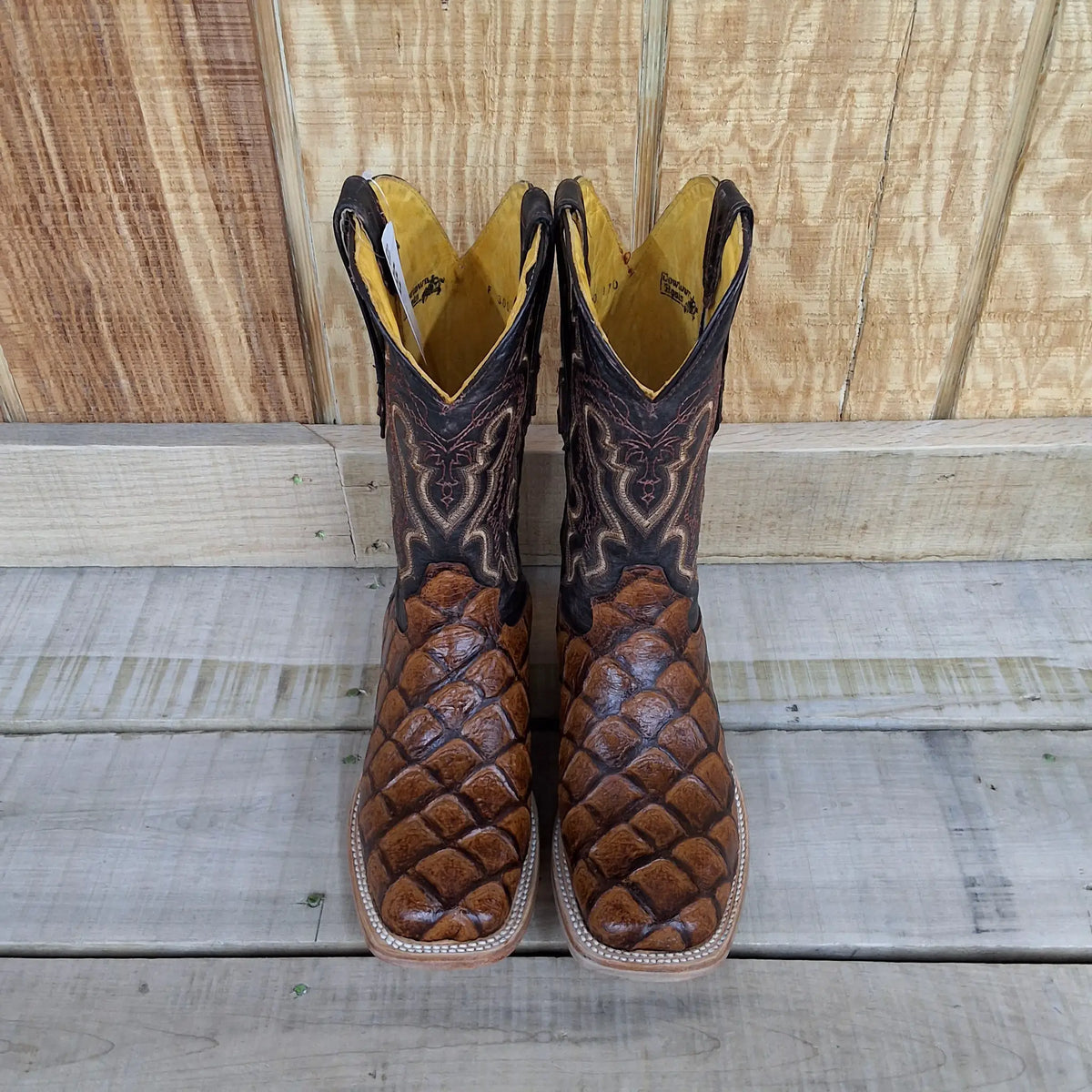Cowtown Boots Fish Print SQ Toe- Cognac by Wild West Outfitters