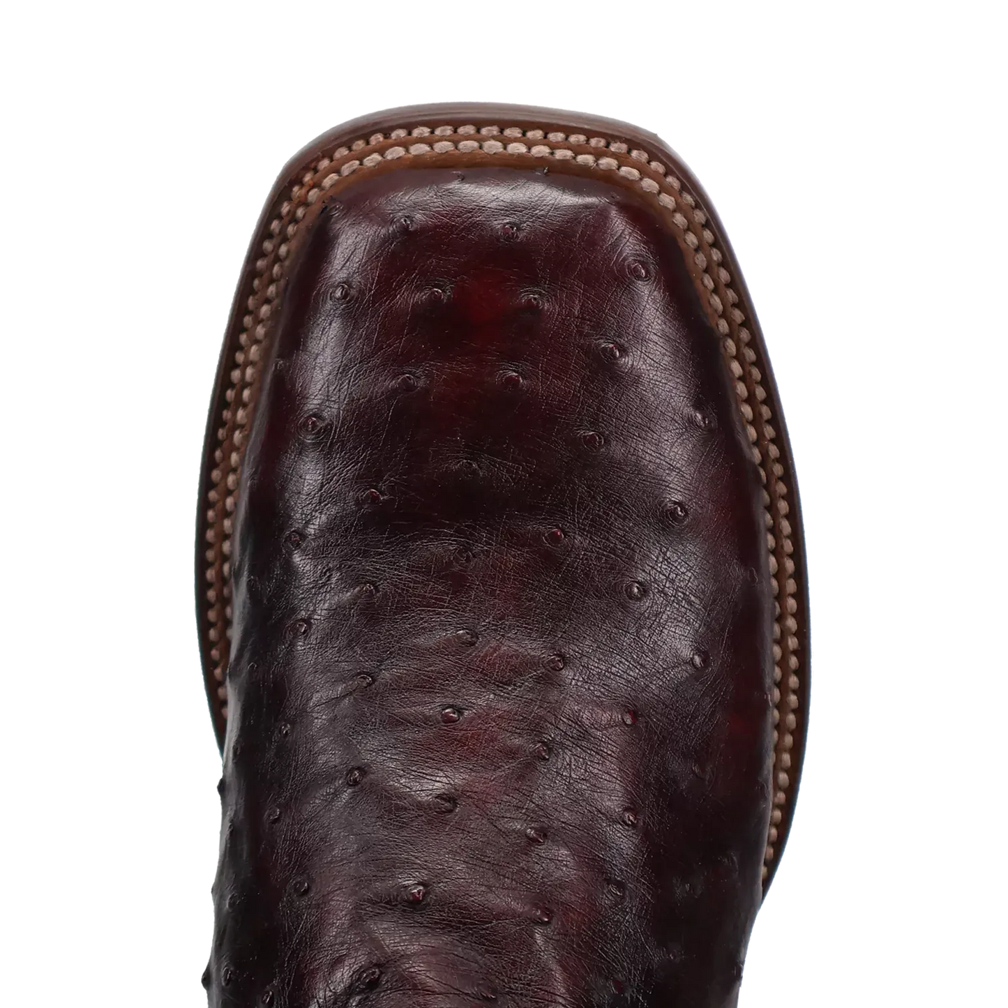 Dan Post Alamosa (Black Cherry)  - Men's Ostrich Skin Leather Cowboy Boots