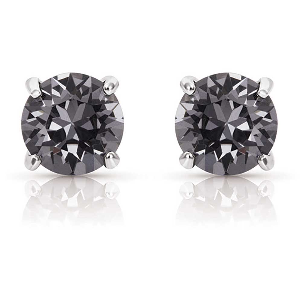 Montana Silversmiths Northern Lights Earrings